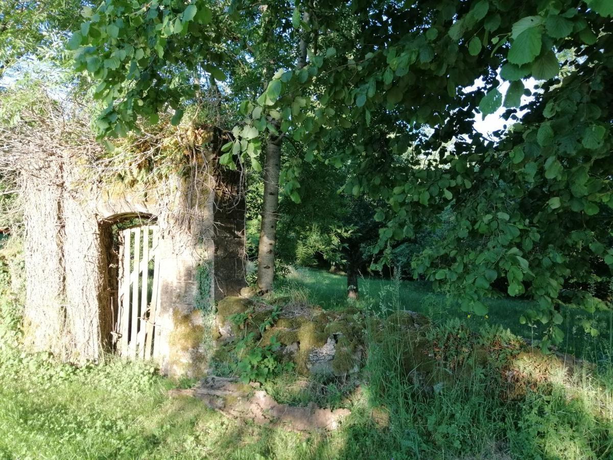 Le Miraillet, Gite Saint-Illide Zewnętrze zdjęcie