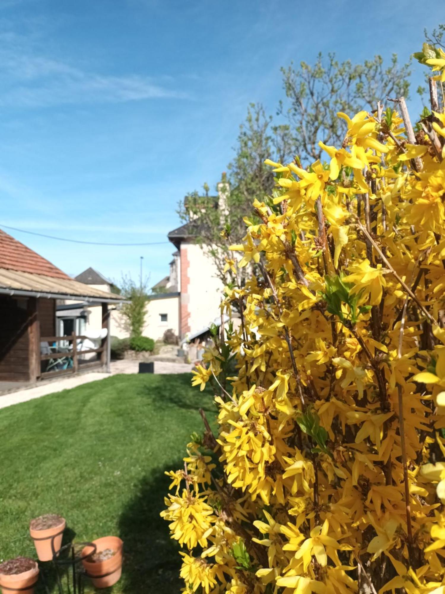 Le Miraillet, Gite Saint-Illide Zewnętrze zdjęcie